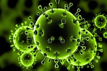 corona virus