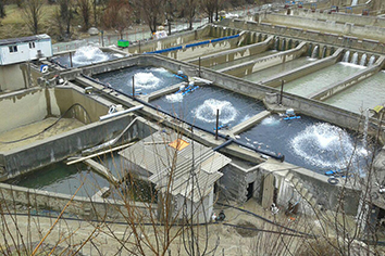 حوضچه های پرورش ماهی